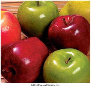 Waxy coating of fruits from large alkanes