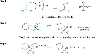 Stepwise mechanism for sulfonation