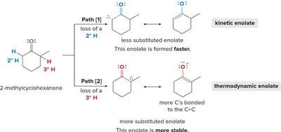 Kinetic vs. thermodynamic enolate formation