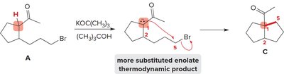 Thermodynamic enolate alkylation