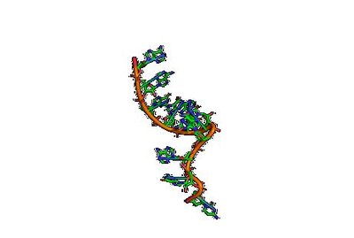 Nucleic acid structure representation