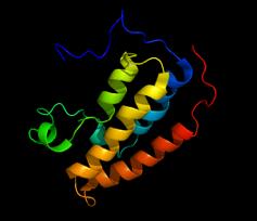 Protein structure representation
