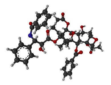 3D structure of paclitaxel (Taxol)