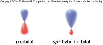sp3 hybrid orbitals