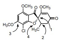 Lewis structure and geometry of NH3