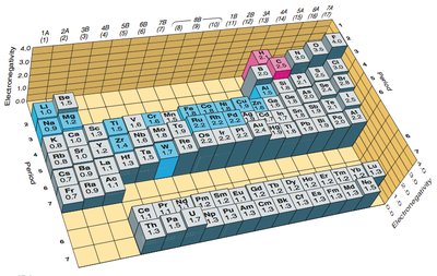 Periodic table showing electronegativity trends