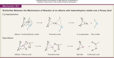 Mechanism comparison: cyclopropanation and epoxidation