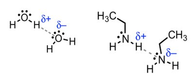 Hydrogen bonding and chemical shift