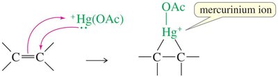 Mercurinium ion formation