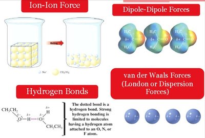 Types of intermolecular forces
