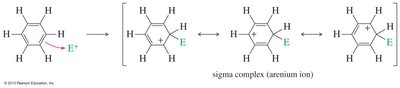 Resonance forms of the sigma complex (arenium ion)