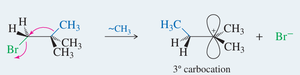Methyl shift mechanism