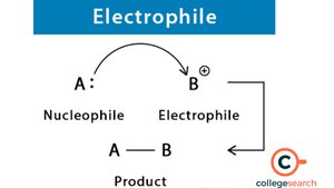 Nucleophile and electrophile interaction