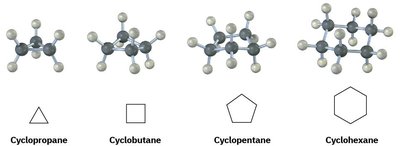 Structures of common cycloalkanes