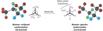 Eclipsed and gauche conformations of butane