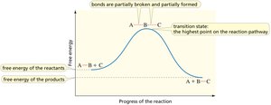 Reaction coordinate diagram