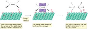 Catalytic hydrogenation mechanism