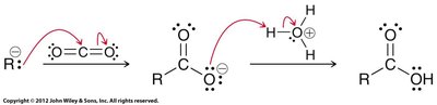 Mechanism of Grignard carboxylation