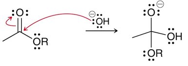 Proton transfer steps in mechanism