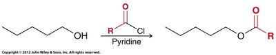 Alcoholysis: acylation perspective