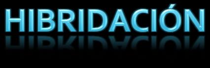 HIBRIDACIÓN title