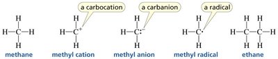 Bonding patterns for carbon: neutral, cation, anion, radical