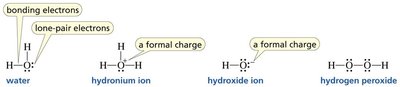 Bonding patterns for water, hydronium, hydroxide, hydrogen peroxide