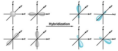 Hybridization process: atomic to hybrid orbitals