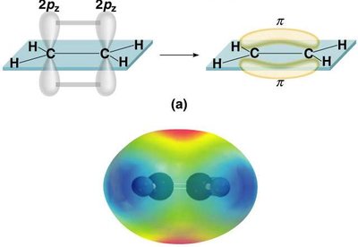 Sigma and pi bonds in ethylene (C2H4)