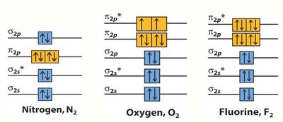 MO electron configurations for N2, O2, F2