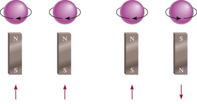 Diagram showing paramagnetic and diamagnetic behavior