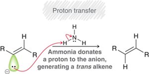 Birch reduction step: final proton transfer