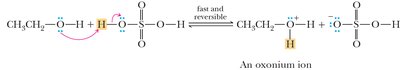 Step 1: Protonation to form oxonium ion