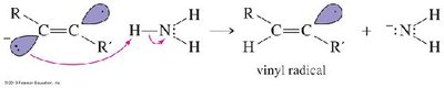 Formation of vinyl radical in Na/NH3 reduction