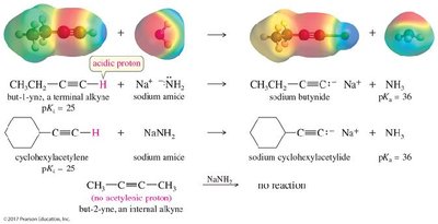Deprotonation of terminal alkynes with sodium amide