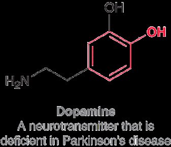 Structure of dopamine, a common phenol