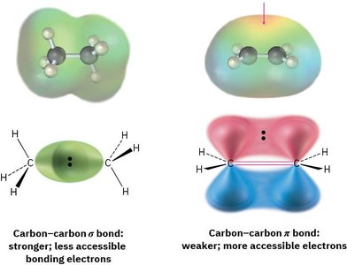Comparison of carbon–carbon σ and π bonds