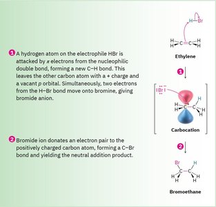 Mechanism of HBr addition to ethylene