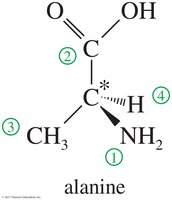 Example of assigning R and S configuration