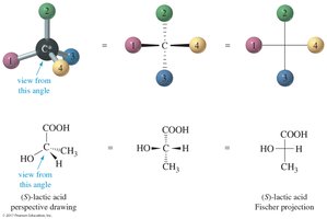 Fischer projection continued