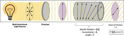 Optical activity and polarimetry
