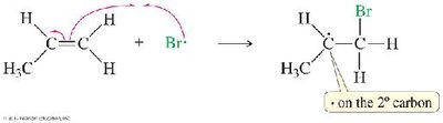 Free radical addition of HBr to alkene