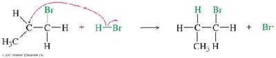 Radical mechanism for HBr addition