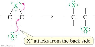 Back-side attack in halogenation