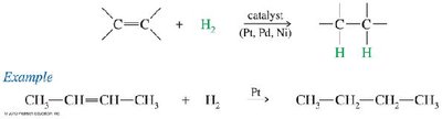Catalytic hydrogenation mechanism