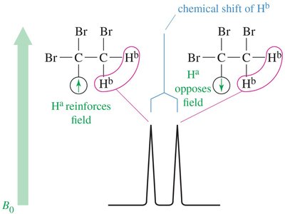 Doublet splitting by one adjacent proton