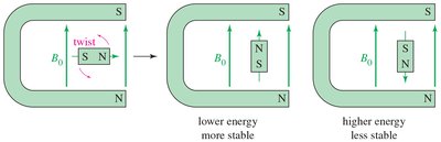 Bar magnet alignment in magnetic field