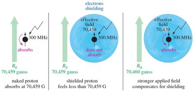 Shielding effect on proton absorption