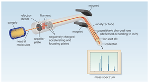 Diagram of mass spectrometer operation