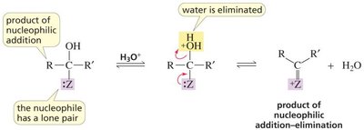 Nucleophilic addition–elimination mechanism